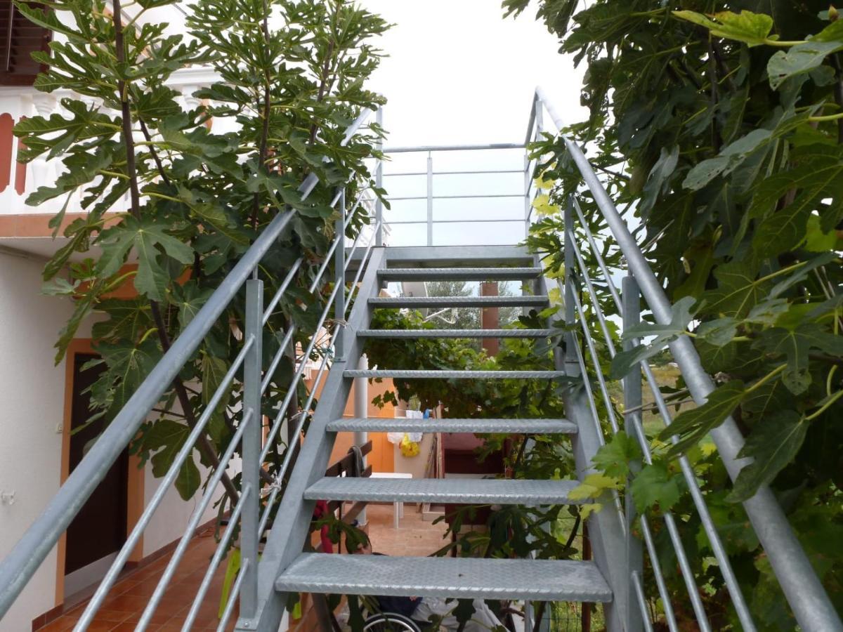 Apartmani Veronika ニン エクステリア 写真